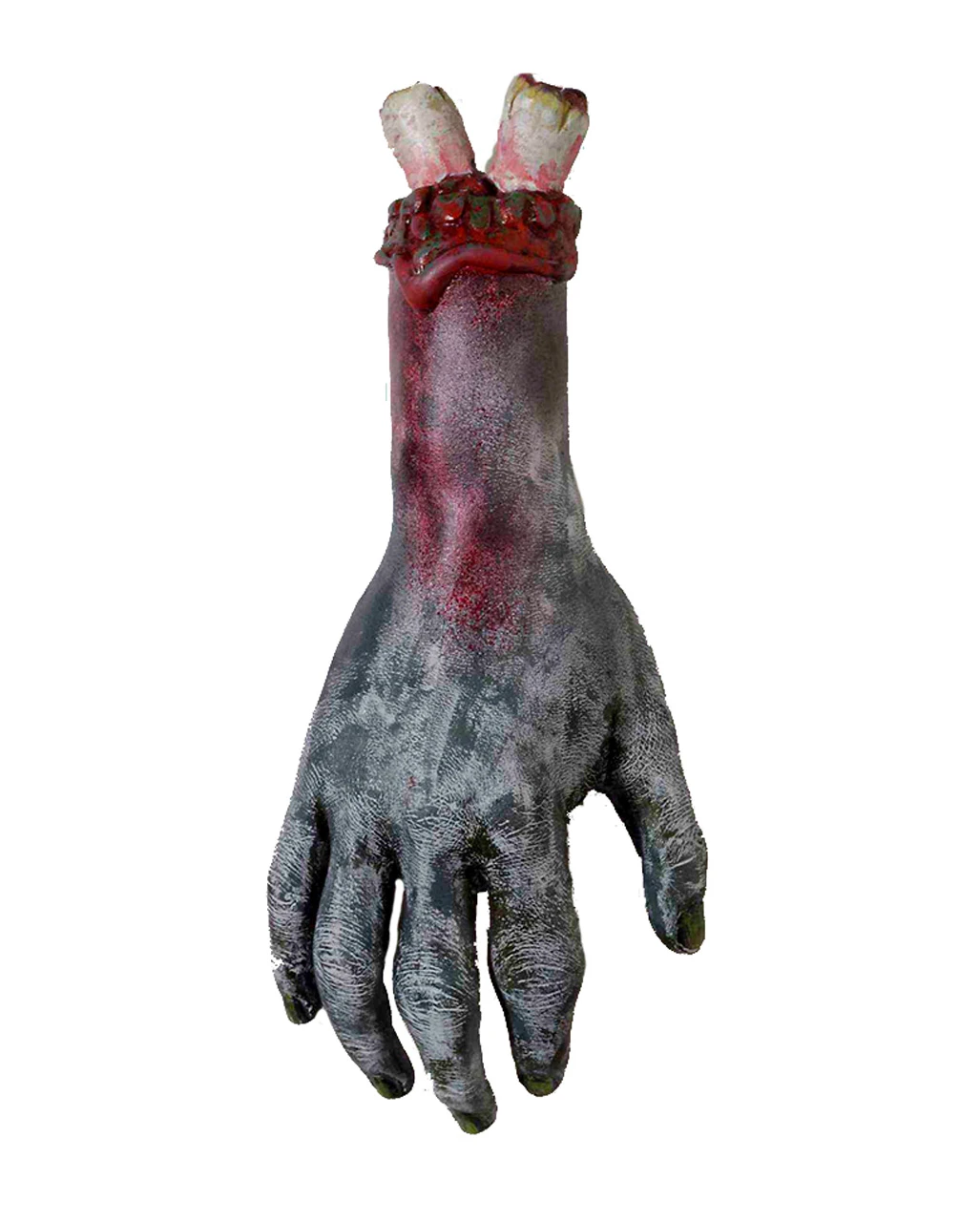 Abgetrennte Zombie Hand 3 Abgetrennte Zombie Hand