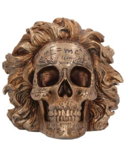 Halloween Dekorations Geschäft -Halloween Dekorations Geschäft albert einstein totenkopf albert einstein totenschaedel albert einstein skull 54562 02