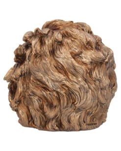 Albert Einstein Totenschädel 21cm -Halloween Dekorations Geschäft albert einstein totenkopf albert einstein totenschaedel albert einstein skull 54562 04