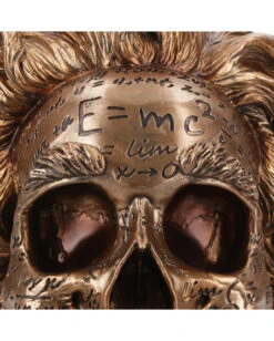 Albert Einstein Totenschädel 21cm -Halloween Dekorations Geschäft albert einstein totenkopf albert einstein totenschaedel albert einstein skull 54562 05