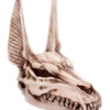 Anubis Totenschädel Figur 17cm 1 Anubis Totenschädel Figur 17cm -Halloween Dekorations Geschäft anubis totenkopf figur anubis totenschaedel figur anubis skull figurine 51020 01