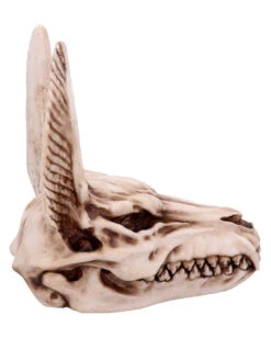 Anubis Totenschädel Figur 17cm 10 Anubis Totenschädel Figur 17cm -Halloween Dekorations Geschäft anubis totenkopf figur anubis totenschaedel figur anubis skull figurine 51020 04