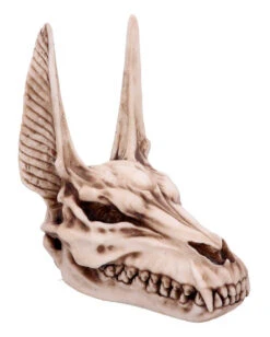 Anubis Totenschädel Figur 17cm 11 Anubis Totenschädel Figur 17cm -Halloween Dekorations Geschäft anubis totenkopf figur anubis totenschaedel figur anubis skull figurine 51020 05
