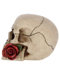Beiger Totenschädel Mit Roter Rose 15cm -Halloween Dekorations Geschäft beiger totenkopf mit roter rose beiger totenschaedel mit roter rose antic skull with red rose 53389 03
