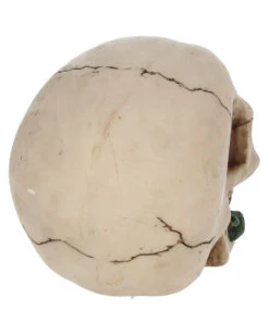 Beiger Totenschädel Mit Roter Rose 15cm -Halloween Dekorations Geschäft beiger totenkopf mit roter rose beiger totenschaedel mit roter rose antic skull with red rose 53389 05