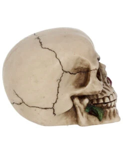 Beiger Totenschädel Mit Roter Rose 15cm -Halloween Dekorations Geschäft beiger totenkopf mit roter rose beiger totenschaedel mit roter rose antic skull with red rose 53389 06