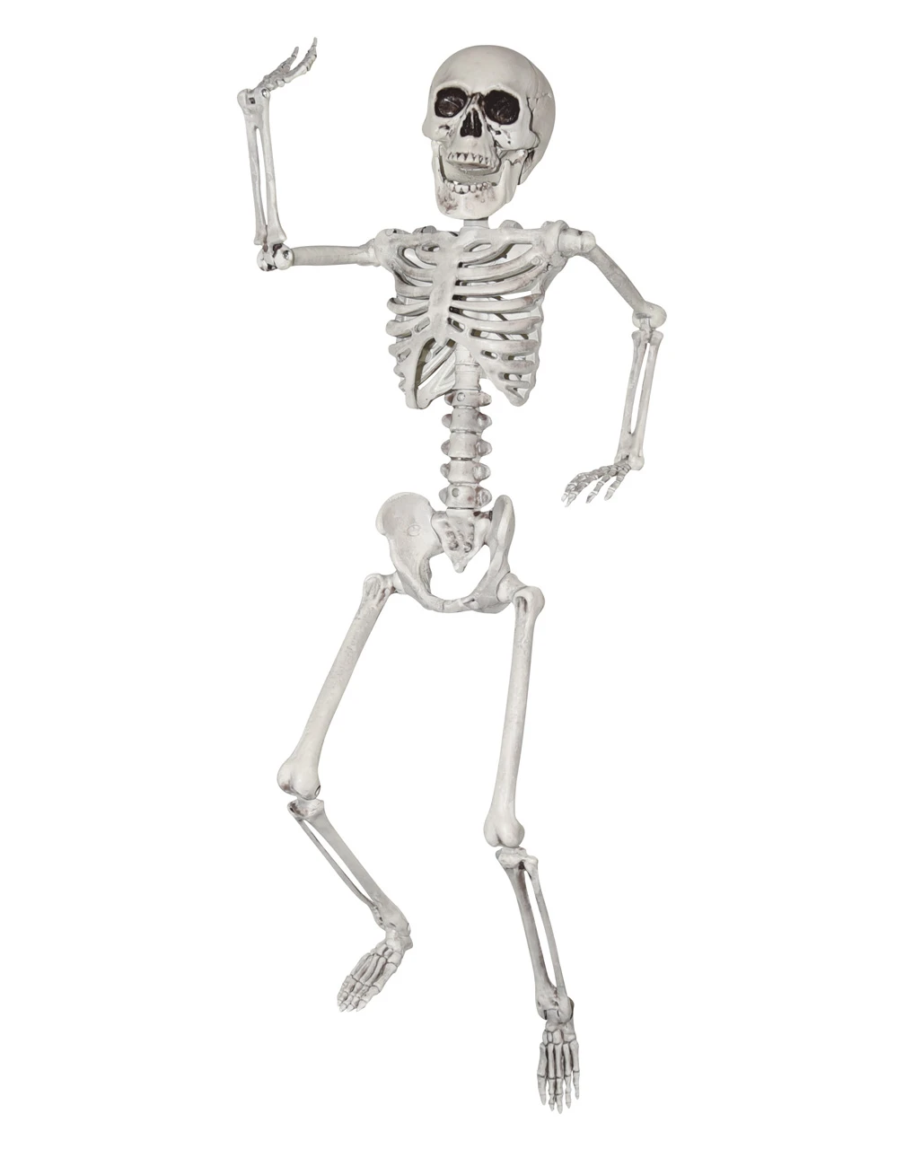 Halloween Kunststoff Skelett 60cm 3 Halloween Kunststoff Skelett 60cm