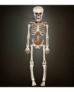 Bewegliches Skelett Gerippe 40cm -Halloween Dekorations Geschäft bewegliches skelett 40cm posable skeleton 40cm halloween deko skelett deko 52010 02