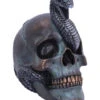 Schuppige Schlange In Totenkopf 19cm 1 Schuppige Schlange In Totenkopf 19cm -Halloween Dekorations Geschäft das schicksal der schlange gothic schaedel 19cm serpentine fate gothic snake skull gothic deko totenkopf 53993