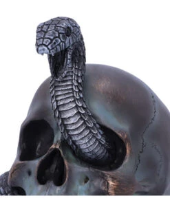 Schuppige Schlange In Totenkopf 19cm -Halloween Dekorations Geschäft das schicksal der schlange gothic schaedel 19cm serpentine fate gothic snake skull gothic deko totenkopf 53993 5