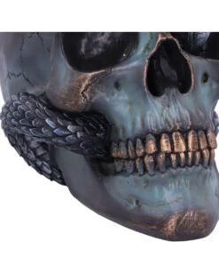 Schuppige Schlange In Totenkopf 19cm -Halloween Dekorations Geschäft das schicksal der schlange gothic schaedel 19cm serpentine fate gothic snake skull gothic deko totenkopf 53993 6