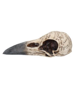 Edgar´s Raben Totenschädel -Halloween Dekorations Geschäft edgars raben skelettschaedel edgars raben totenschaedel edgars raven skull 39198 03