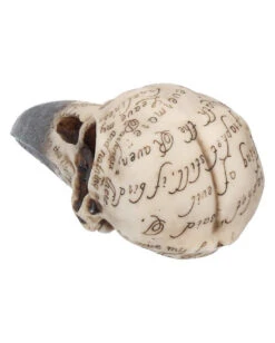 Edgar´s Raben Totenschädel -Halloween Dekorations Geschäft edgars raben skelettschaedel edgars raben totenschaedel edgars raven skull 39198 04