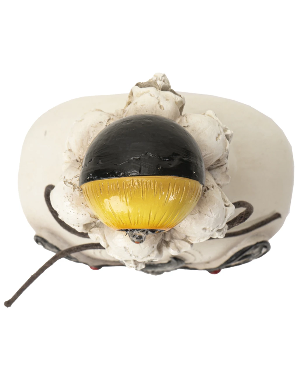 Giftflasche Mit Totenkopf Motte & Auge 25cm 5 Giftflasche Mit Totenkopf Motte & Auge 25cm – Bild 3