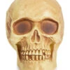 Halloween Antik-Totenschädel 2 Halloween Antik-Totenschädel -Halloween Dekorations Geschäft glaenzender totenkopf skull item totenschaedel equipment realistischer totenkopf 21250