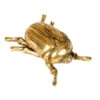 Goldfarbener Skarabäus Käfer Wandgestaltung 15cm 1 Goldfarbener Skarabäus Käfer Wandgestaltung 15cm -Halloween Dekorations Geschäft goldfarbener skarabaeus kaefer wandkunst golden scarab beetle wall art wohnaccessoire 54797 01