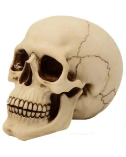 Graveyard Totenschädel Large