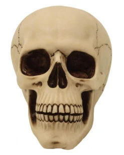 Graveyard Totenschädel Large -Halloween Dekorations Geschäft graveyard totenkopf large graveyard totenschaedel graveyard skull large gothic deko 52351 02