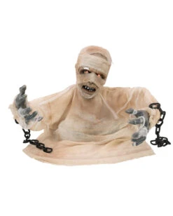 Mumie Halloween Animatronic 40cm 10 Mumie Halloween Animatronic 40cm -Halloween Dekorations Geschäft groundbreaker mumie animatronic 40cm halbierte mumie halloween dekofigur animated mummy 36298 04