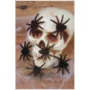 Haarige Mini Spinnen 6er Set 2 Haarige Mini Spinnen 6er Set -Halloween Dekorations Geschäft haarige mini spinnen schwarz halloween spinnen halloween decoration spiders 37506
