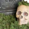 Halloween Deko Moos 100 G -Halloween Dekorations Geschäft halloween deko moos 100g halloween friedhof dekoration moos halloween decoration 28263 2