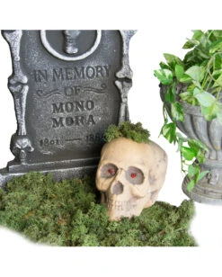 Halloween Deko Moos 100 G -Halloween Dekorations Geschäft halloween deko moos 100g halloween friedhof dekoration moos halloween decoration 28263