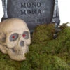 Grünes Deko Moos 80g 2 Grünes Deko Moos 80g -Halloween Dekorations Geschäft halloween deko moos 80g halloween friedhof dekoration moos halloween decoration 24542