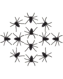 12 Halloween Spinnen