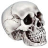 Beiger, Realistischer Totenkopf -Halloween Dekorations Geschäft halloween totenschaedel halloween totenkopf halloween deko realistic skull 21539 01