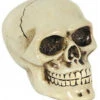 Schaltknauf Totenschädel -Halloween Dekorations Geschäft horrorshop.com autoknauf totenkopf totenschaedel schaltknauf totenkopf sammlerfigur 27091
