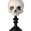 J. DOE Totenschädel Auf Sockel 20cm -Halloween Dekorations Geschäft j doe totenkopf auf sockel j doe totenschaedel auf sockel j doe skull plinth gothic homware 54857 04