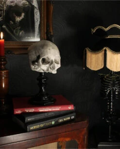 J. DOE Totenschädel Auf Sockel 20cm -Halloween Dekorations Geschäft j doe totenkopf auf sockel j doe totenschaedel auf sockel j doe skull plinth gothic homware 54857 05