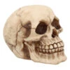Kleiner Grinsender Totenkopf 12cm 2 Kleiner Grinsender Totenkopf 12cm -Halloween Dekorations Geschäft kleiner grinsender totenschaedel small joker skull totenkopf dekoration gothic deko 50730 01