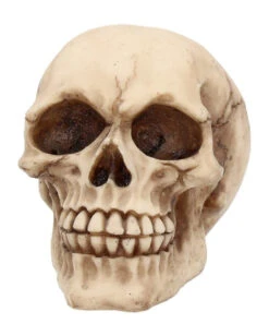 Kleiner Grinsender Totenkopf 12cm 9 Kleiner Grinsender Totenkopf 12cm -Halloween Dekorations Geschäft kleiner grinsender totenschaedel small joker skull totenkopf dekoration gothic deko 50730 02