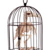 Raben Skelett Im Käfig -Halloween Dekorations Geschäft kraehen skelett im kaefig raben skelett im kaefig skeleton crow in cage 39341 01