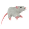 Weiße Plüschratte 19cm 2 Weiße Plüschratte 19cm -Halloween Dekorations Geschäft kuscheltier ratte 19cm weiss plueschratte fuer kinder geschenkartikel plueschtier ratte 29709
