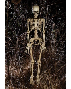 Bewegliches Knochenskelett 90cm 7 Bewegliches Knochenskelett 90cm -Halloween Dekorations Geschäft positionierbares knochenskelett halloween deko skelett mit beweglichen gelenken halloween und horror deko 52003 2