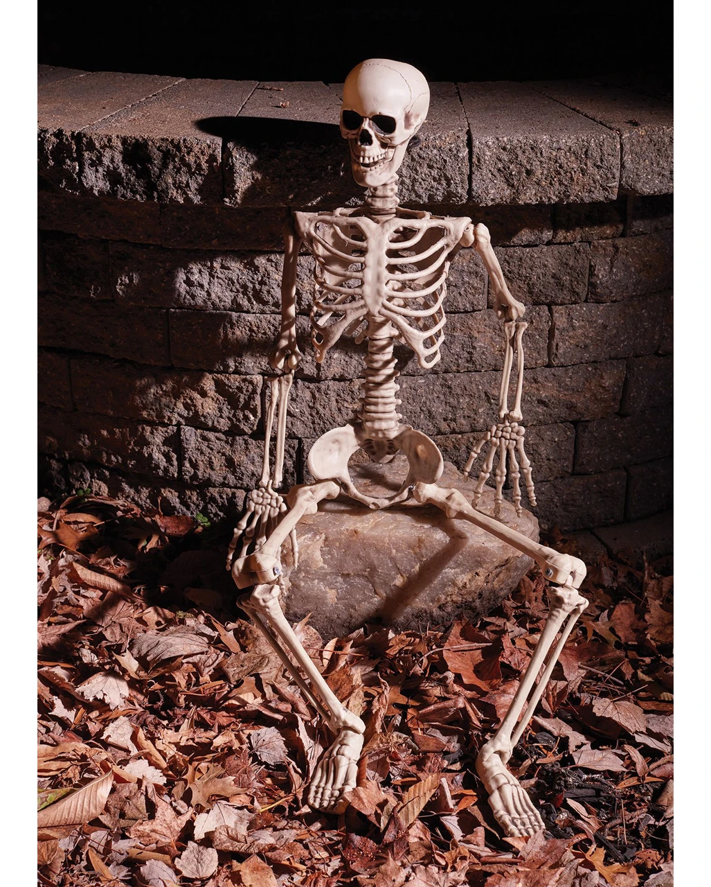 Bewegliches Knochenskelett 90cm 4 Bewegliches Knochenskelett 90cm – Bild 2