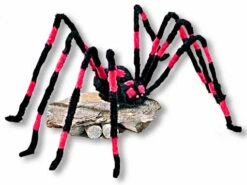 Riesenspinne Mit Knopfaugen