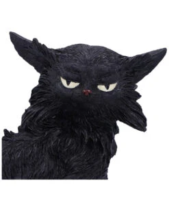 Salem Magierkatze 16,6cm 13 Salem Magierkatze 16,6cm -Halloween Dekorations Geschäft salem hexenkatze 19cm salem witch cat 19 cm halloween tischdekoration schwarze katzenfigur 51042 05