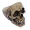 Aschenbecher Totenschädel 2 Aschenbecher Totenschädel -Halloween Dekorations Geschäft schaedel aschenbecher totenkopf dekoration skeleton ash tray 27476