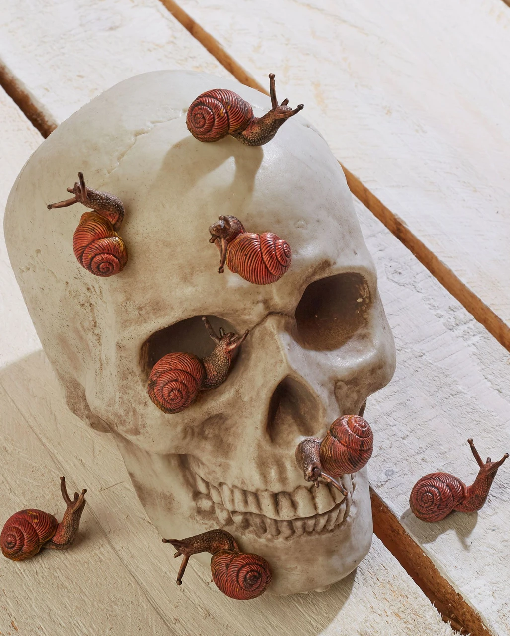 12 Deko Schnecken 3 12 Deko Schnecken