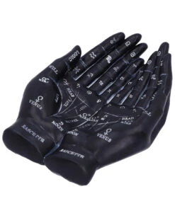 Schwarze Chiromantie-Hände Teelichthalter -Halloween Dekorations Geschäft schwarze handlese haende kerzenhalter schwarze chiromantie haende teelichthalter 51059 05
