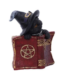 Schwarzes Hexenkätzchen Mit Rotem Zauberbuch 8,2cm -Halloween Dekorations Geschäft schwarze hexenkatze mit rotem zauberbuch black witchs cat familiar with red grimoire gothic deko und figuren 52417 3