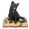 Schwarze Hexenkatze Mit Pentagramm -Halloween Dekorations Geschäft schwarze katze mit hexenbuch schwarze hexenkatze mit pentagramm witch cat eclipse 39250 01