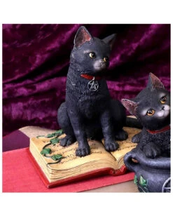 Schwarze Hexenkatze Mit Pentagramm -Halloween Dekorations Geschäft schwarze katze mit hexenbuch schwarze hexenkatze mit pentagramm witch cat eclipse 39250 05