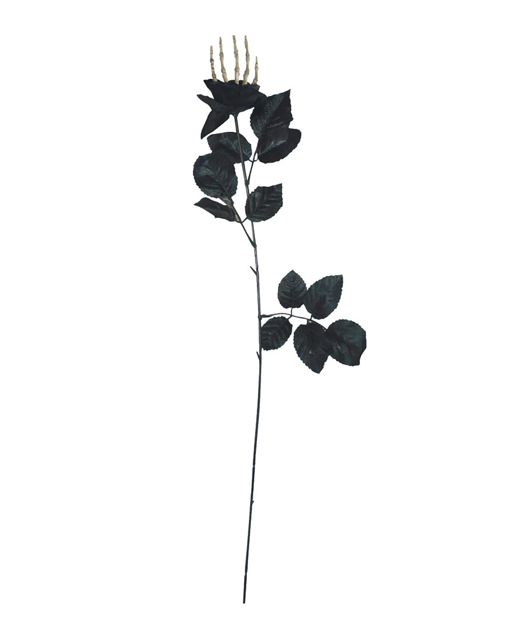 Schwarze Rose Mit Knochenhand 3 Schwarze Rose Mit Knochenhand