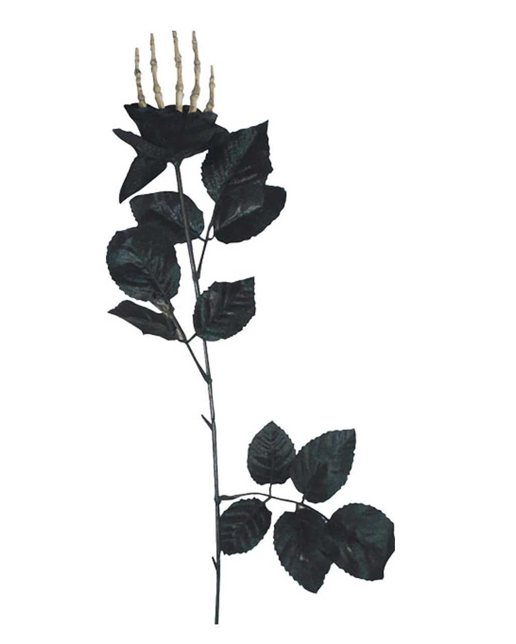 Schwarze Rose Mit Knochenhand 4 Schwarze Rose Mit Knochenhand – Bild 2