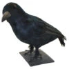 Rabe Schwarz 32 Cm 1 Rabe Schwarz 32 Cm -Halloween Dekorations Geschäft schwarzer rabe halloween deko realistic crow halloween decoration 10472