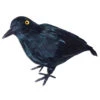 Rabe Schwarz Klein 22cm -Halloween Dekorations Geschäft schwarzer rabe mit federn halloween deko black crow halloween decoration 13832 01